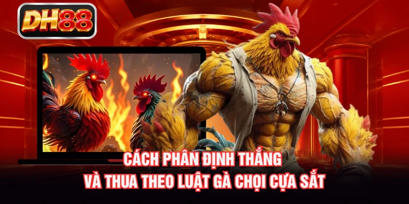 Cách phân định thắng và thua theo luật gà chọi cựa sắt