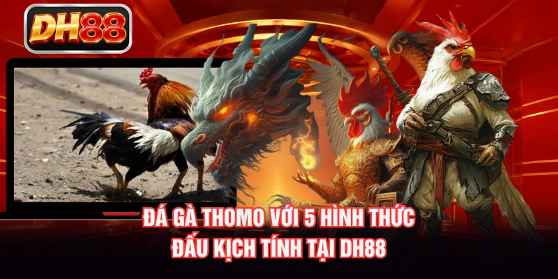 Đá Gà Thomo Với 5 Hình Thức Đấu Kịch Tính Tại DH88