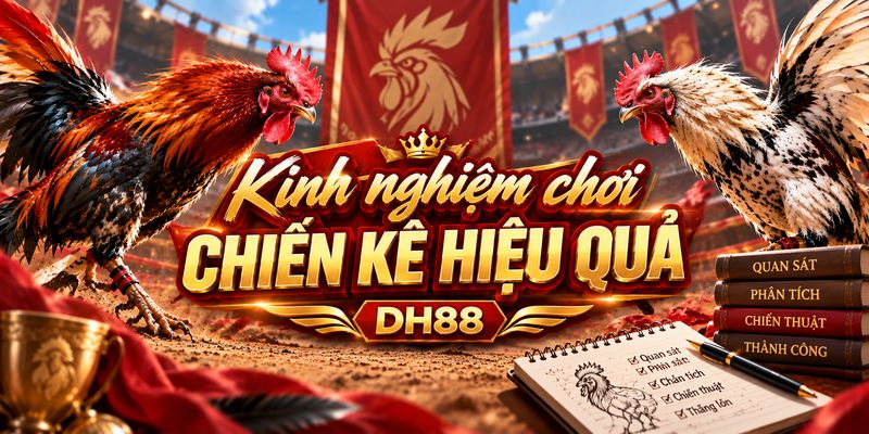 Kinh nghiệm chơi chiến kê bất bại tại DH88