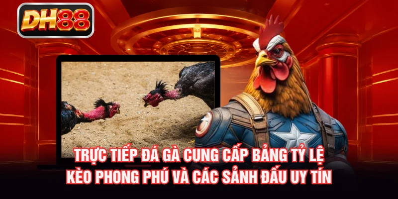 Trực tiếp đá gà cung cấp bảng tỷ lệ kèo phong phú và các sảnh đấu uy tín