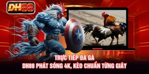 Trực Tiếp Đá Gà - DH88 Phát Sóng 4K, Kèo Chuẩn Từng Giây